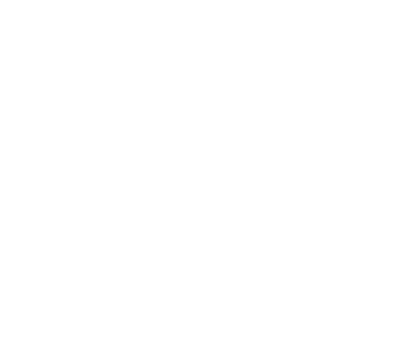 bo4